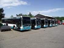 Mercedes Benz Citaro Parade des Stadtverkehrs Maintal beim Tag der Offenen T�r am 19.05.13