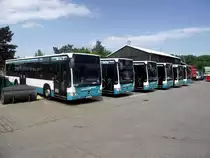 Mercedes Benz Citaro Parade des Stadtverkehrs Maintal beim Tag der Offenen T�r am 19.05.13