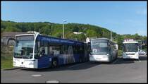Mercedes Citaro II und Neoplan Euroliner und Volvo 8900 der RPNV in Sassnitz am 16.05.2013