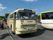 Ikarus 66 der Dresdner Verkehrsbetriebe am 19.5.2013 in Erkner