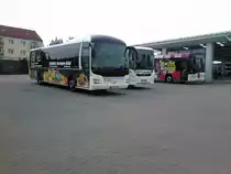 MAN / Volvo & Solaris des RPNV aufm Busbahnhof in Bergen am 31.5.13 