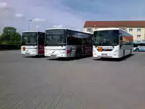 Volvo´s des RPNV aufm Busbahnhof in Bergen am 24.5.13 