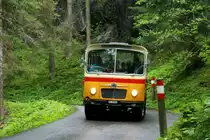 in Saurer OCS 2 auf dem Postautokurs Griesalp-Kiental-Reichenbach; 09.02.2013