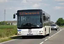 MAN NL 273 Lion´s City der RVK, K-ZY 783, bei Euskirchen - 06.06.2013