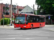 Mercedes-Benz O 530 K (Citaro) auf der Linie 946 nach Strausberg Markt an der Haltestelle Strausberg Lustgarten.(18.6.2013) 