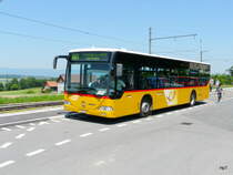 Postauto - Mercedes Citaro  VD 533626 in Bercher am 17.06.2013