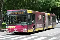 MAN NG 313 der RVK K-ZY 185 in Bonn - 15.06.2013