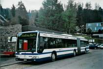 ZVB Zug 17/ZG 3367 Mercedes Citaro am 23. M�rz 2008 Zug, Sch�negg