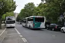 P-AV 973 auf der Linie 695 nach Bahnhof Pirscheide zwischen Platz der Einheit und Basinplatz. Aufgenommen am 09.08.2013