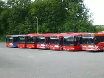  S�dwestbus  Mercedes-Flotte mit O 407, Conecto und Citaro �, Bretten-Diedelsheim 11.08.2013