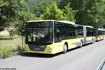STI Nr. 142 (MAN A23 Lion's City GL) am 2.8.2013 in Thun, Schiffl�nde. Zum 100-j�hrigen Jubil�um g�nnte sich die STI einen neuen Anstrich auf den Fahrzeugen. Vorl�ufig erhalten aber nur Neuwagen diese, meiner Meinung nach sehr gelungene, Lackierung.