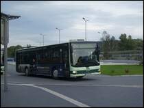 MAN Lion's City der Oberelbische Verkehrsgesellschaft in Bad Schandau am 04.10.2012