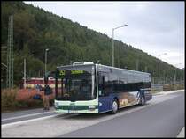 MAN Lion's City der Oberelbische Verkehrsgesellschaft in Bad Schandau am 04.10.2012