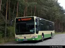 Brandenburg, Malge

VBBr, 541