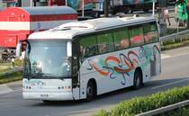 Noge Domino, Giuliano Viaggi, pr�s de Berne 11.06.2013