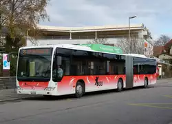 BGU: Auf dem BGU-Netz stehen zur Zeit zwei MERCEDES CITARO Gelenkbusse im Einsatz.