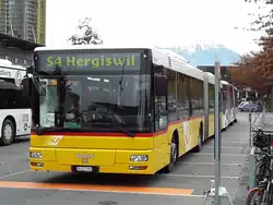 Auf den Bahnersatz wartet gerade ein MAN A23, der ein Zürcher Nummernschild trägt.