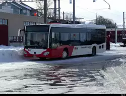CJ - Mercedes Citaro  Nr.