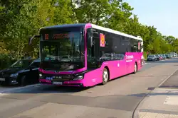 DB Regio Onmibusverkehr Franken MAN Lions Intercity Ersatzverkehr Riedbahn am 31.08.24 in Walldorf Hessen