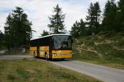 Breit ist sie nicht, die Strasse von B�rchen zur Moosalp, auf der sich hier am 13.7.2009 der Setra 313UL VS 63'800 von PU Autotour gerade bergw�rts arbeitet.