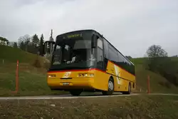 PU Flury, Balm bei Günsberg, SO 20'031 (Neoplan N314Ü, 2003) am 21.11.2009 auf dem Balmberg.