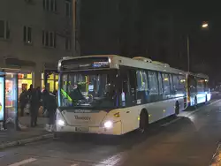 Berlin, Mahlsdorfer Stra�e (S K�penick), 5.01.2011.