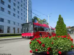 Bernmobil Nr.