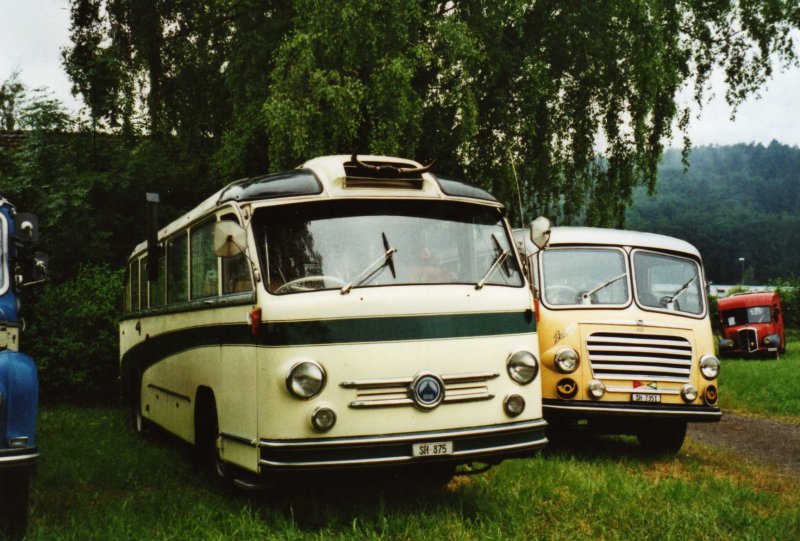 Wehrli, Thayngen SH 875 Saurer/Saurer (ex Rieser+Vetter, Frauenfeld) am 6. Juni 2009 Thayngen, Saurer-Treffen